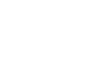 Blecon_Logo_Vertical_wht_RGB