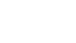 Blecon